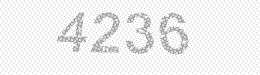 Visual security code — type the characters shown in the image